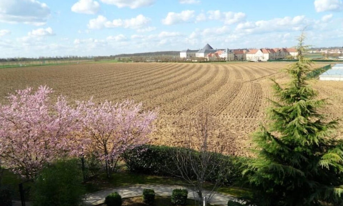 Magny-le-Hongre Apartment | Appartement Cosy à 10mn de Disney !