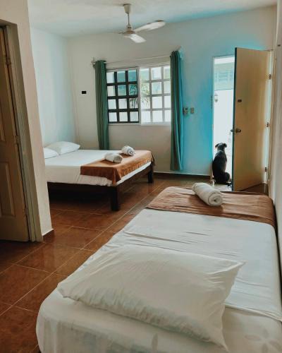 Downtown Holbox Apartment | Hotel Paraiso