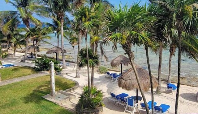 Beachfront+Snorkeling+Stunning Pool+Gardens & Art!