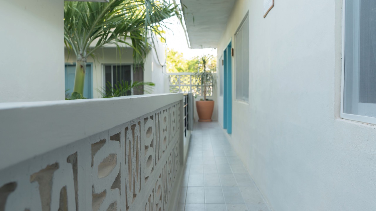 Photo of Others in Downtown Holbox