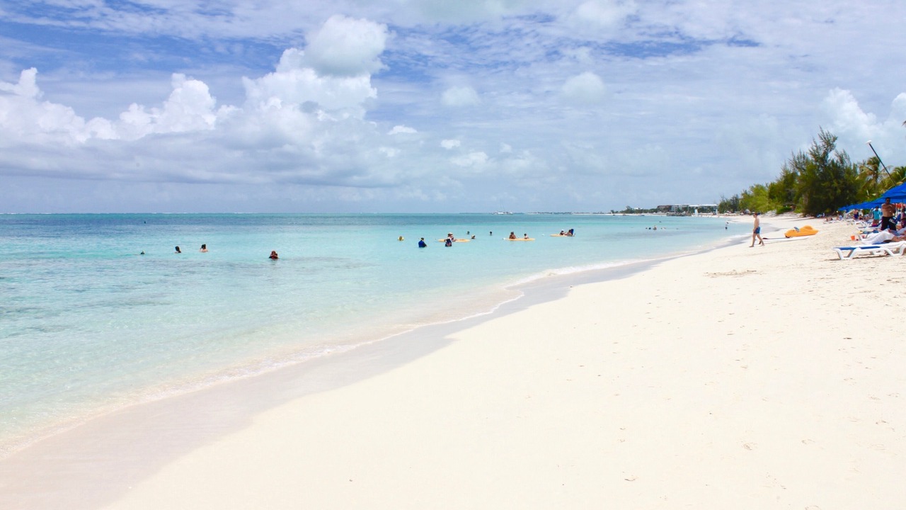 Photo of Others in The Bight