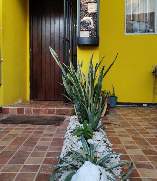 Photo of Others in Downtown Cancun